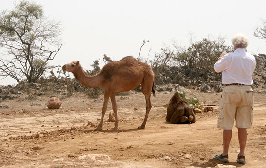 01 Gunter photographing camel